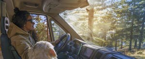 Woman driving a car with her dog in the passenger seat